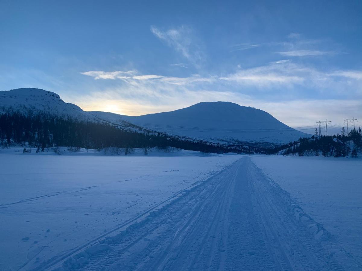Tveitopark Apartments Rjukan Esterno foto